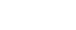 Sleeva - logo